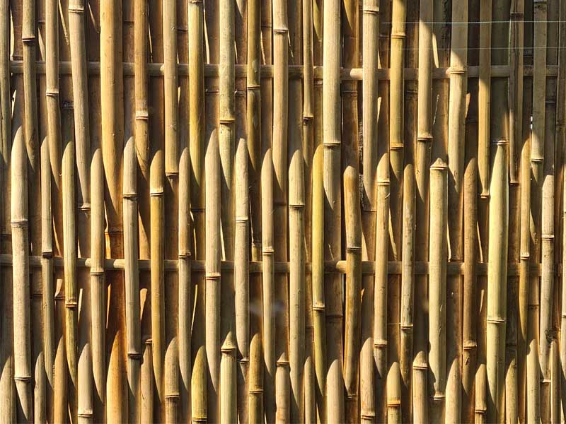 Bamboo-Screen-Sherwood