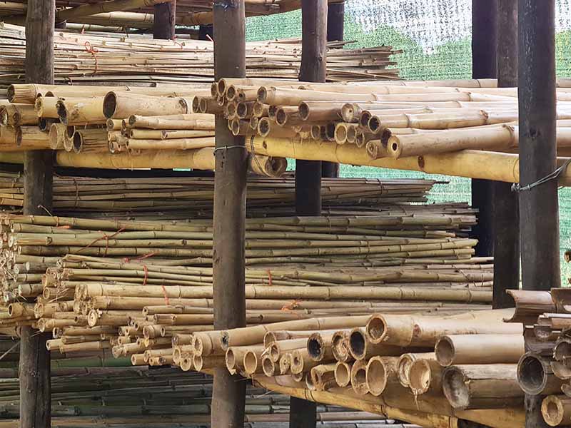Bamboo Stockpile